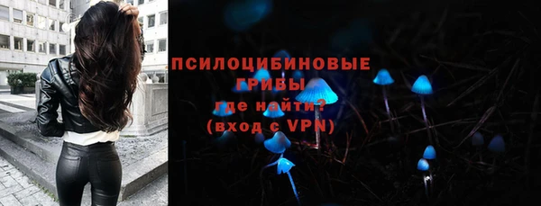 крисы Алексеевка